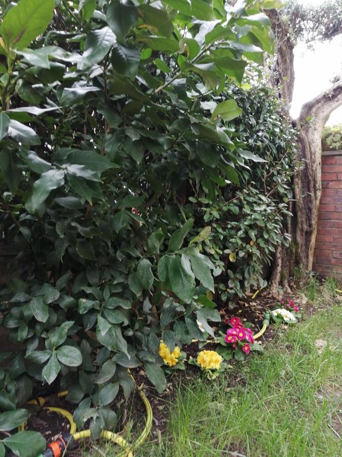 Casa Nonnanna - Nonnanna Home ヴィアレッジョ エクステリア 写真